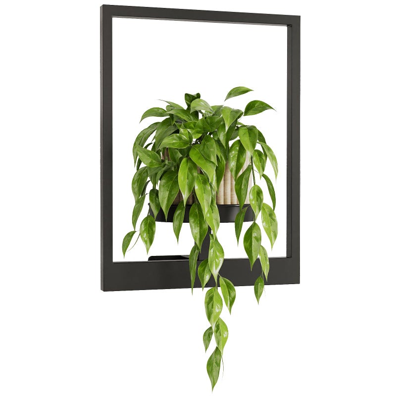 Bamworld Plant Stand Indoor Wall Decor Metal Plant Hanger Indoor Hanging Plant Holder WallMounted Planters Outdoor Plant Rack Black 1 Pack Patent Design - Image 2
