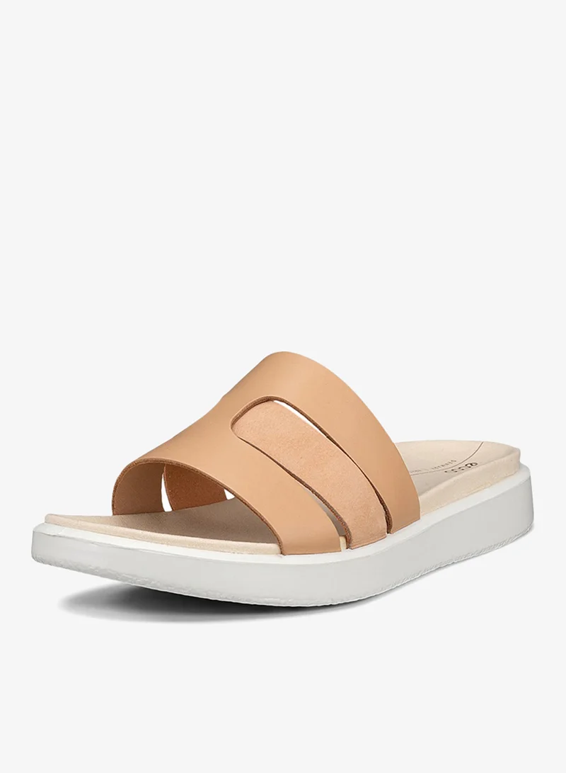 إيكو إيكو فلوت دبليو بيسكويت