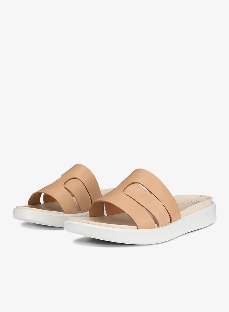 إيكو إيكو فلوت دبليو بيسكويت