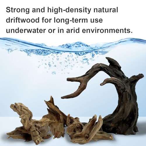 Obantrsz Aquarium Driftwood Decor Set - 1 Anubias Resin Model & 3Pcs Small Natural Driftwood 2-4 inch for Aquascaping, Fish Tank Landscape Design - Image 5