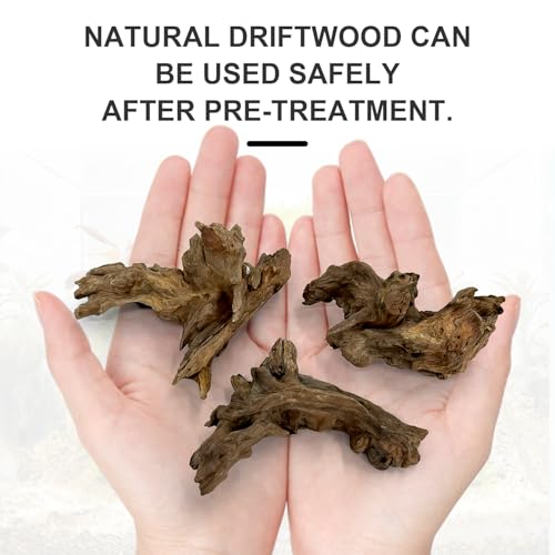 Obantrsz Aquarium Driftwood Decor Set - 1 Anubias Resin Model & 3Pcs Small Natural Driftwood 2-4 inch for Aquascaping, Fish Tank Landscape Design - Image 4