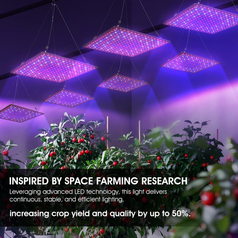 Uallhome 2 Pack LED Grow Light Panel 200W Lamp for Indoor Plants, Full Spectrum with White Blue Red UV IR LEDs for 4x4ft Coverage Grow Tent Greenhouse Veg and Bloom Seedlings Hydroponics - Image 4
