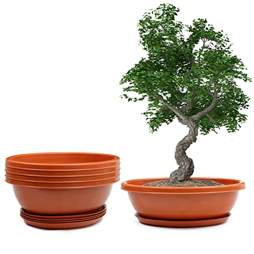 Livzing 12inch Pack of 5 Bonsai Flower Pot with Tray - Virgin Planter Pots with Drain Holes – Indoor Outdoor Balcony Gardening Pots - Oval Shaped Grow Pots for Plants - Terracotta - Image 1
