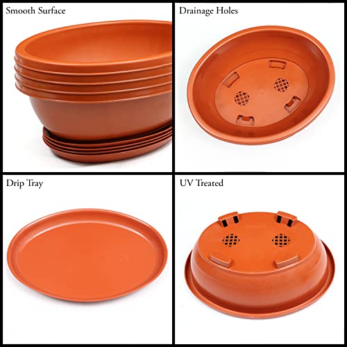 Livzing 12inch Pack of 5 Bonsai Flower Pot with Tray - Virgin Planter Pots with Drain Holes – Indoor Outdoor Balcony Gardening Pots - Oval Shaped Grow Pots for Plants - Terracotta - Image 3