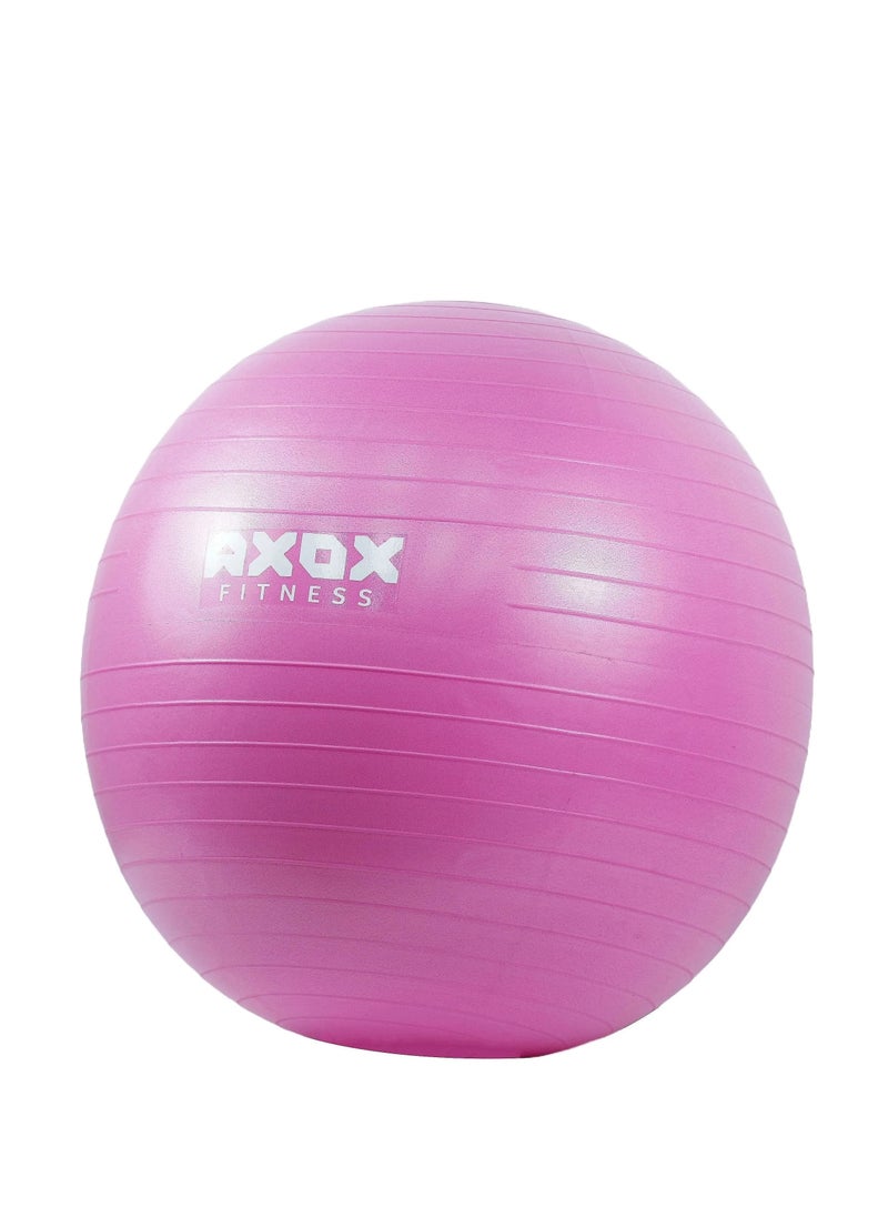AXOX Fitness Anti Burst Gym Ball 55Cm  - Image 1