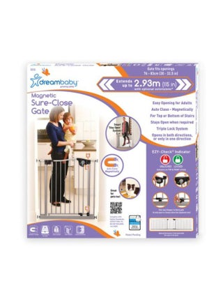 Empire Silver Safety Gate - pzsku/Z960984D2721DD647B2CBZ/45/_/1708427715/c06cfa7f-308e-40cd-abc8-c5740847f767