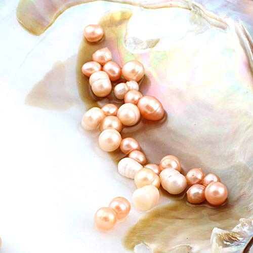 Magnitt Cultured Pearls in Oysters,Freshwater Pearl Oysters with Pearls Inside Big Oyster Pearls in Oyster Anniversary Decoration for Jewelry Making or Birthday Gifts (5-7mm) - Image 4