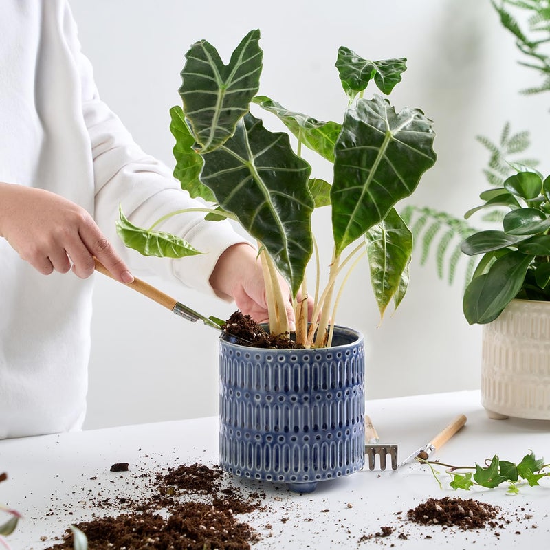 STHIE 5 Inch Ceramic Planters for Indoor Plants, Blue Cactus Snake Plant Pots with Drainage, Unique Design Round Flower Pot for Home Decoration - Image 5