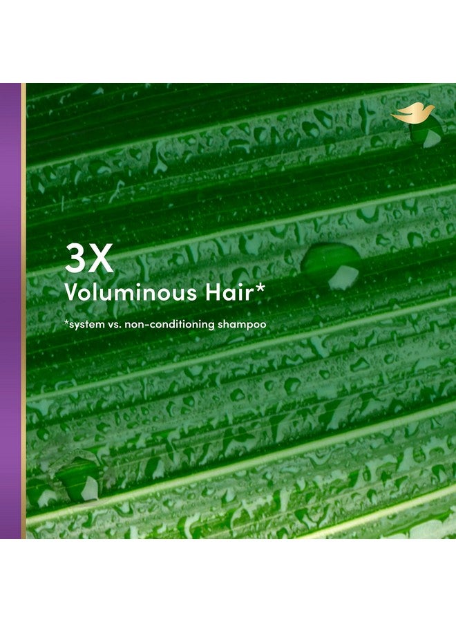 دوف بلسم Re+Al Bio-Mimetic Care للشعر الناعم والمسطح، بلسم Revolumize الخالي من السيليكون مع جوز الهند والكولاجين النباتي، 10 أونصة - Image 3