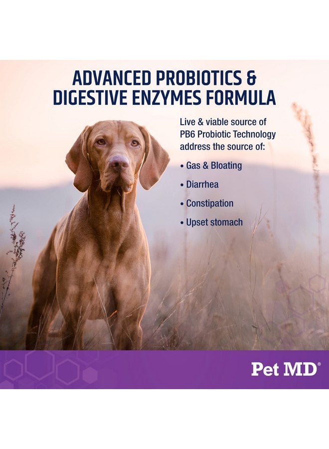 بيت إم دي Pet MD Probiotics & Enzymes for Dogs - Gut Health Chews with Prebiotics - Digestive Aid for Dogs with Upstamp Stomach, Diarrhea, Constipation, or Gas - Functional Probiotics for Dogs - 60 ct - Image 2
