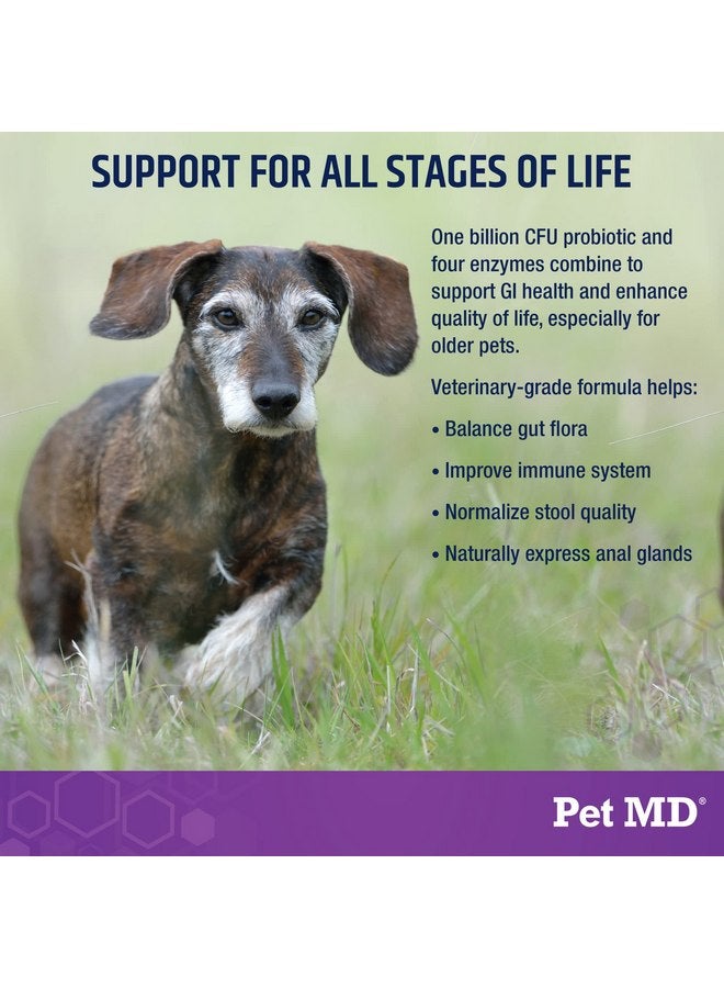 بيت إم دي Pet MD Probiotics & Enzymes for Dogs - Gut Health Chews with Prebiotics - Digestive Aid for Dogs with Upstamp Stomach, Diarrhea, Constipation, or Gas - Functional Probiotics for Dogs - 60 ct - Image 3