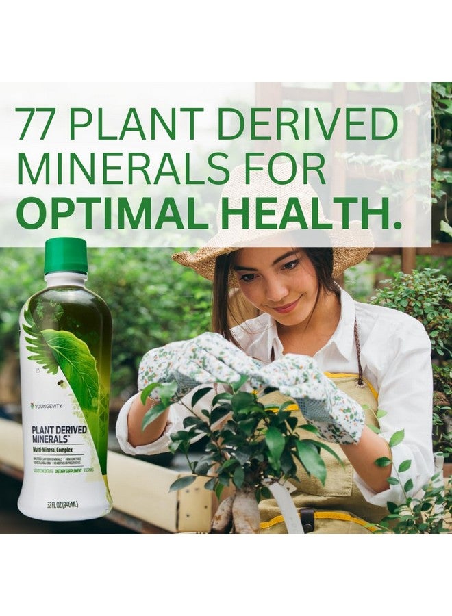 youngevity مجمع المعادن المتعددة المستمدة من النباتات من يانغيفيتي | مصنوع من الصخر الزيتي الهوميك | شكل سائل كولوييدي | 32 حصة (32 أونصة سائلة (عبوة من 1)) - Image 5