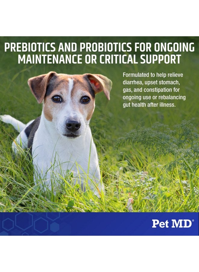 بيت إم دي Pet MD Biotic Probiotics for Dogs & Cats - مسحوق البريبايوتيك والألياف والبروبيوتيك - تخفيف الغازات والإمساك ومضاد الإسهال - توازن البكتيريا الهضمية واستعادة صحة الأمعاء للكلاب والقطط - 2.12 أونصة - Image 3