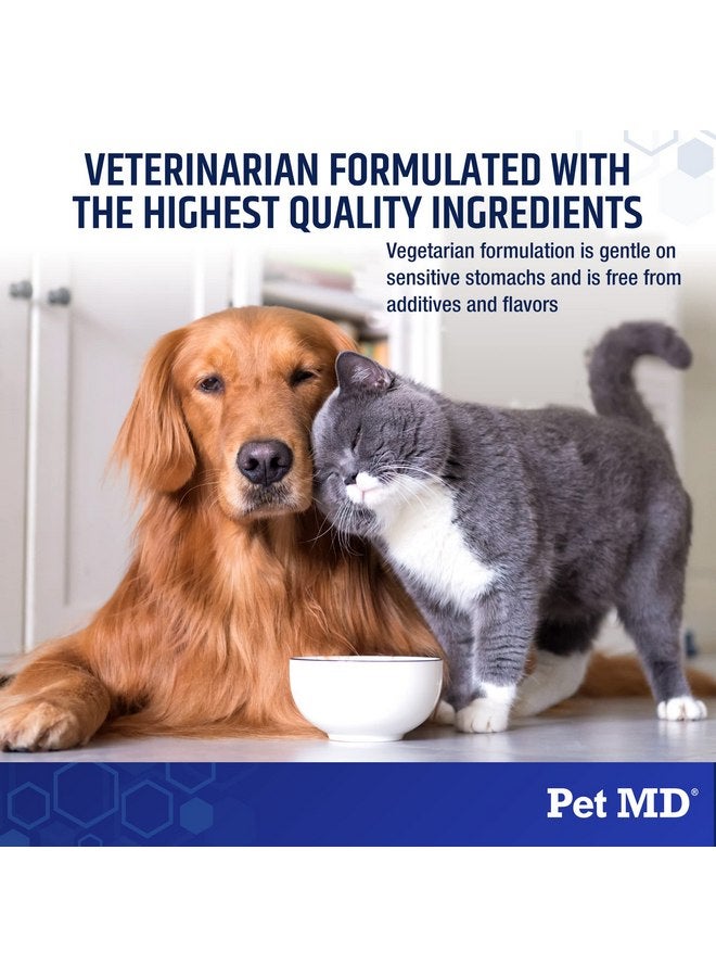 بيت إم دي Pet MD Biotic Probiotics for Dogs & Cats - مسحوق البريبايوتيك والألياف والبروبيوتيك - تخفيف الغازات والإمساك ومضاد الإسهال - توازن البكتيريا الهضمية واستعادة صحة الأمعاء للكلاب والقطط - 2.12 أونصة - Image 4
