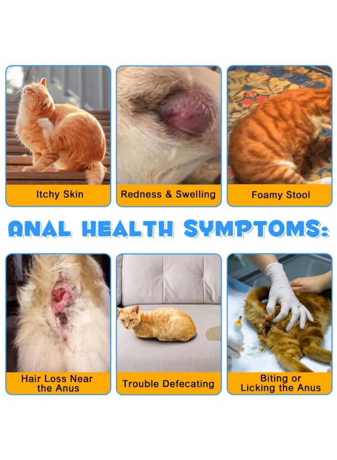 Oimmal 120 جرام مسحوق دعم الغدد الشرجية للقطط مع اليقطين والبروبيوتيك وإنزيمات الهضم يعزز وظيفة الأمعاء الصحية وصحة الغدد الشرجية بنكهة السلمون الطازج معزز مناعة القطط - Image 5