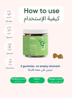 Rite Fit Plus Sugar Free - 60 Gummies Rite  - Image 4