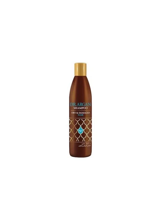Dr.Argan dry & damaged hair conditioner - 300 ml