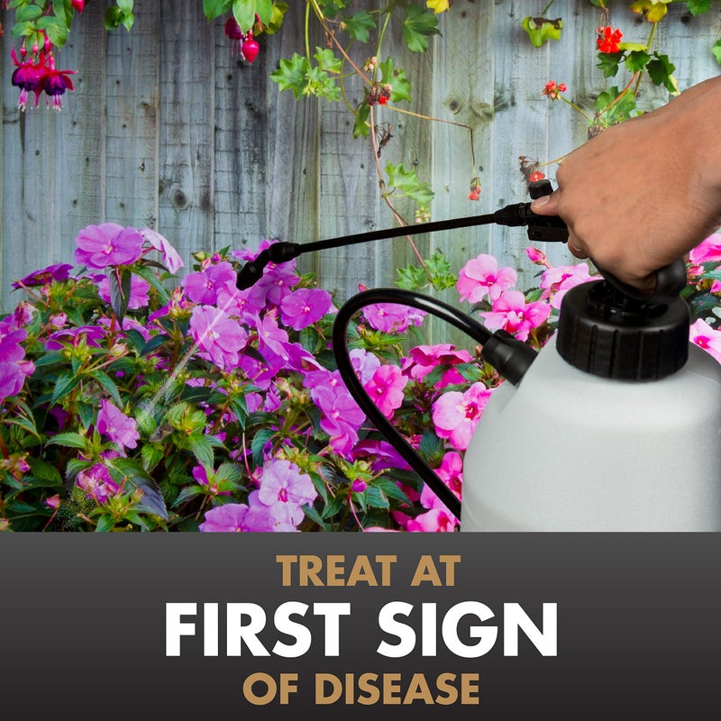 Spectracide Immunox Multi-Purpose Fungicide Spray Concentrate For Gardens 16 Ounces, Protects Up To 2 Weeks - Image 2