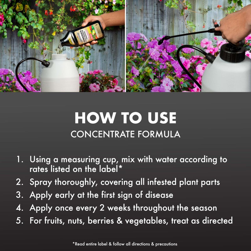 Spectracide Immunox Multi-Purpose Fungicide Spray Concentrate For Gardens 16 Ounces, Protects Up To 2 Weeks - Image 3