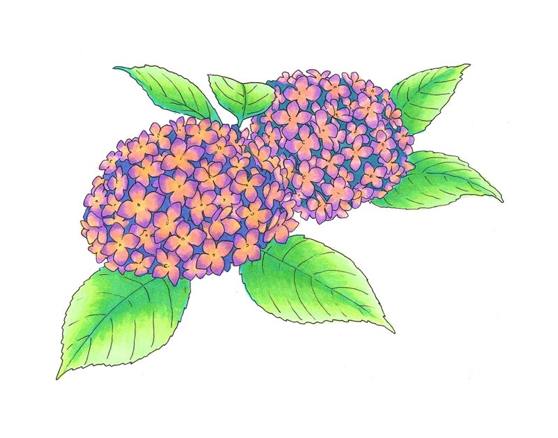 Copic CIAO MRKR 6PC SET 3 PASTELS - Image 2