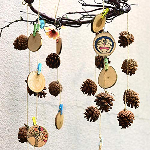 QHZHANG Christmas Bulk Package of Natural Pinecones for Home Party Decorations-25 Pack (1) - Image 4