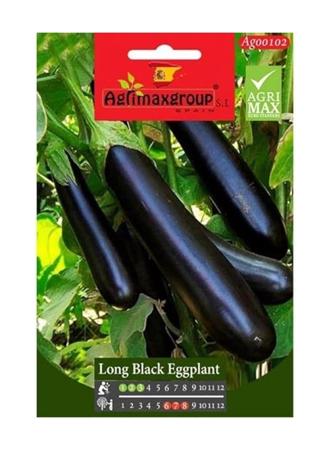 أجريماكس بذور الباذنجان الأسود الطويلة عالية الجودة من Agrimaxgroup® - Image 1