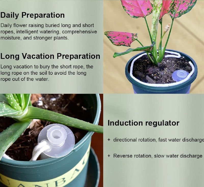 Zikra Self Watering Spikes, 5 Pack Automatic Plant Watering Stakes, Potted Plants Self Watering Spikes Plant Watering for Outdoor & Indoor Self-Watering Stakes - Image 4