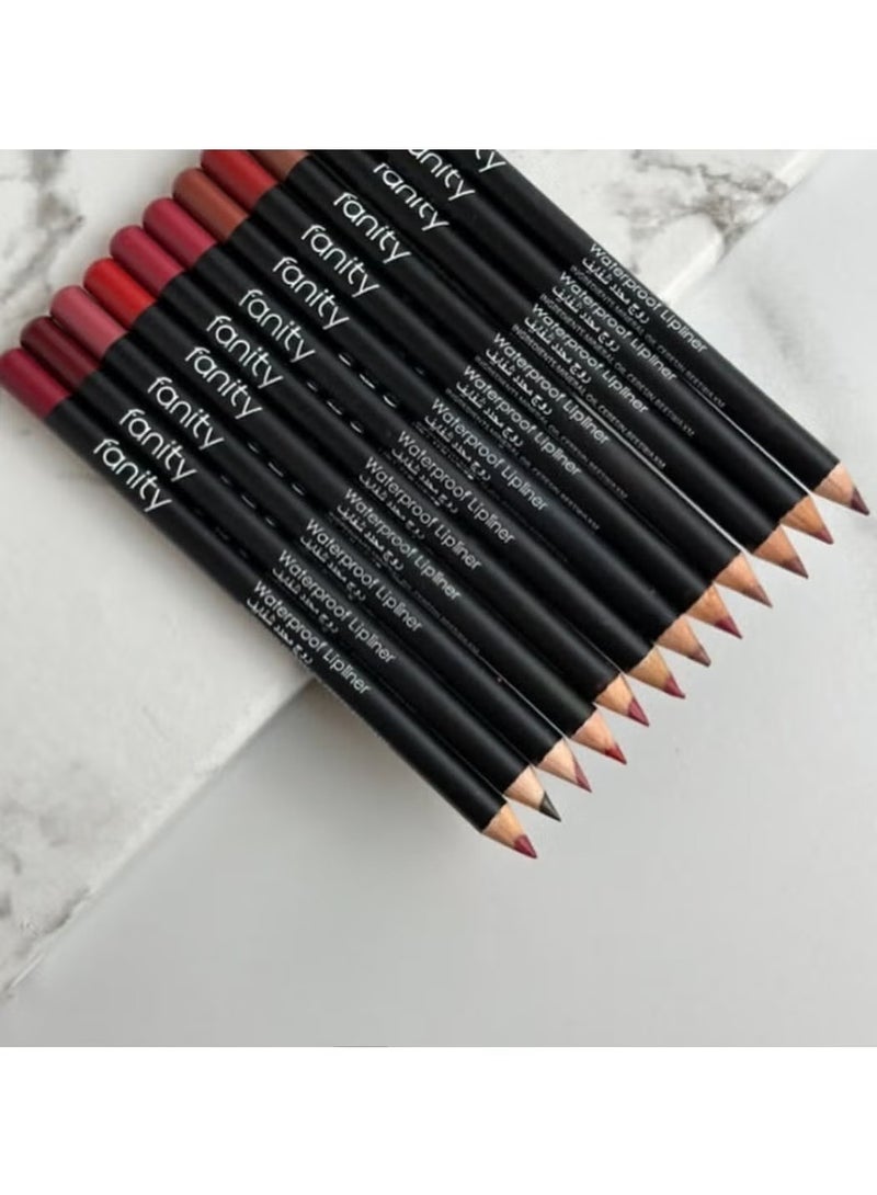 FANITY 12-piece multi-color lip liner set
