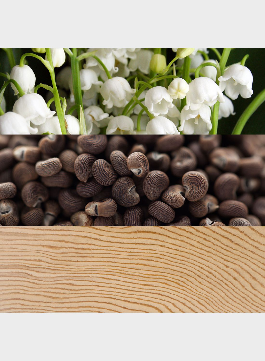 عطر بيوتي للنساء 100 مل أو دو برفان