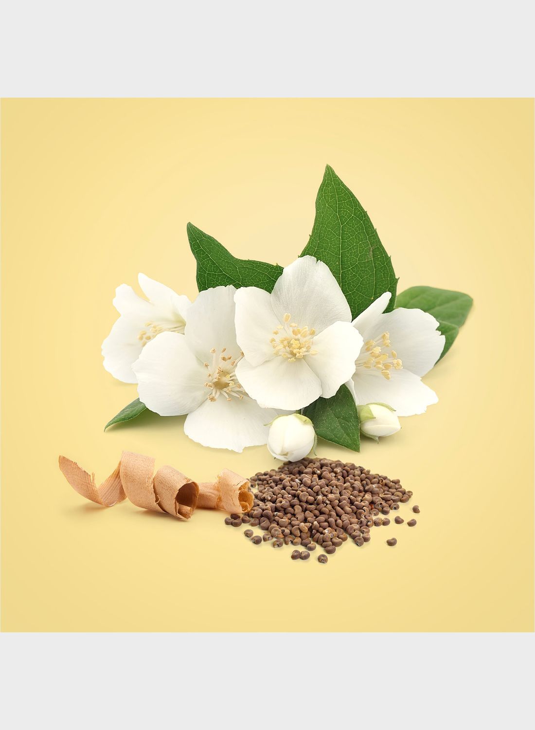 عطر بيوتي للنساء 100 مل أو دو برفان