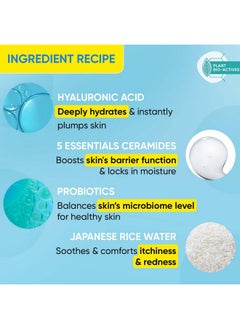 Dot & Key Barrier Repair Hyaluronic Body Lotion For Deep Nourishing & Long Lasting Moisturization | With Hyaluronic & 5 Essential Ceramides |Quick Absorbing & Non Greasy | For Dry & Flaky Skin | 250Ml  - Image 3