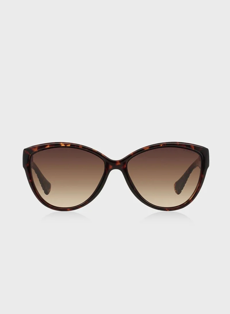 POLO RALPH LAUREN 0RA5176 Butterfly Sunglasses