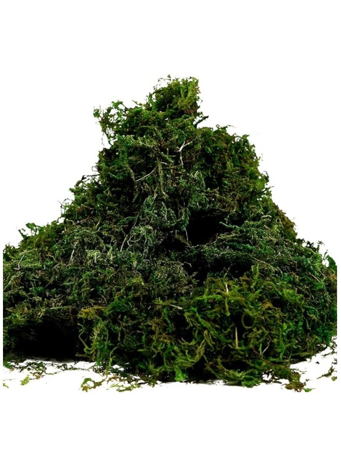 LINGWEI Premium Artificial Moss – Faux Green Grass for Potted Plants, DIY Crafts, Home Décor, Garden Decorations, and Party Centerpieces  - Image 1