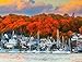 Springboks Harbor in The Fall 500 Piece Puzzle for Adults Shows The Beauty of This Northeastern Habor in Fall Colors - Image 2