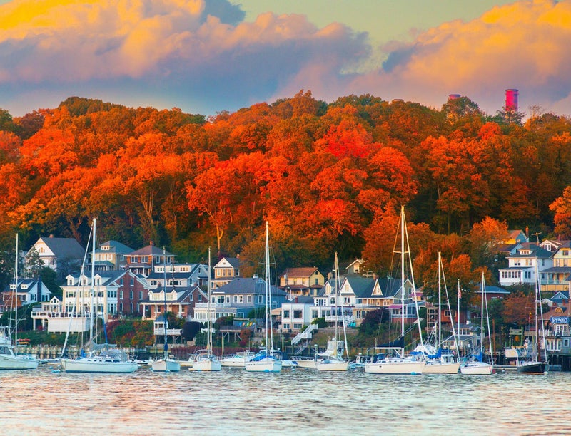 Springboks Harbor in The Fall 500 Piece Puzzle for Adults Shows The Beauty of This Northeastern Habor in Fall Colors - Image 3