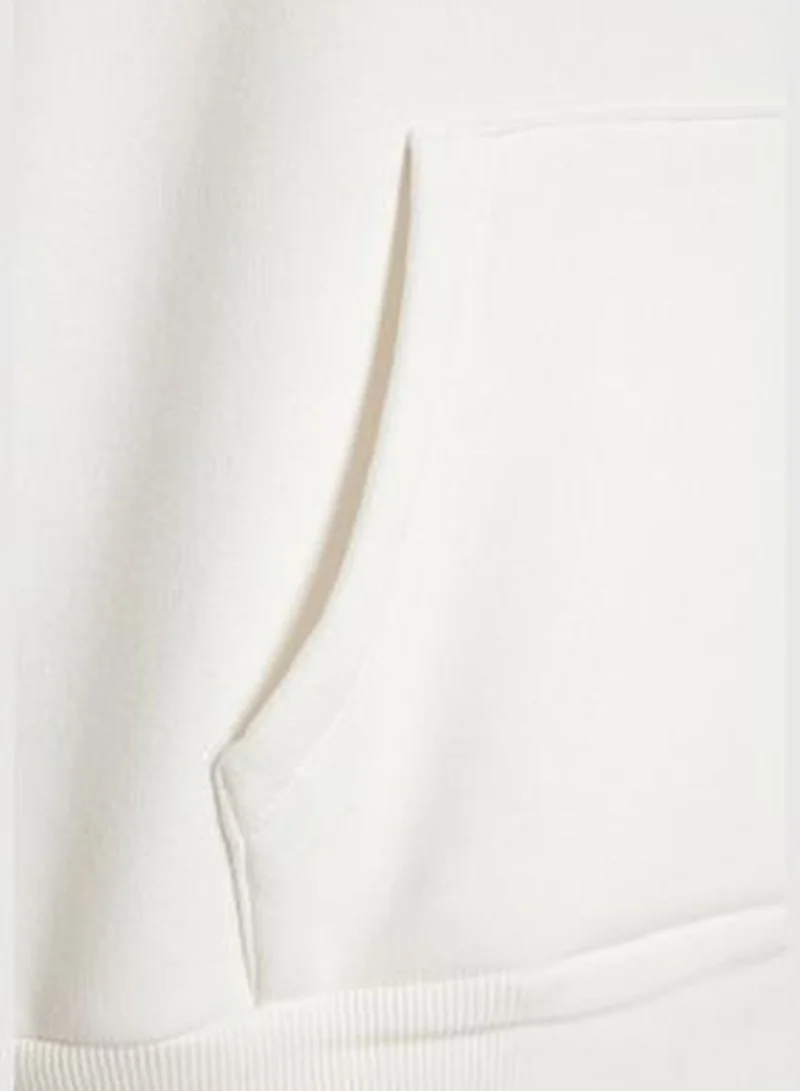trendyol Thick Ecru, Fleece Inside Oversized/Wide Fit with a Hooded Basic Knitted Sweatshirt TWOAW24SW00103.