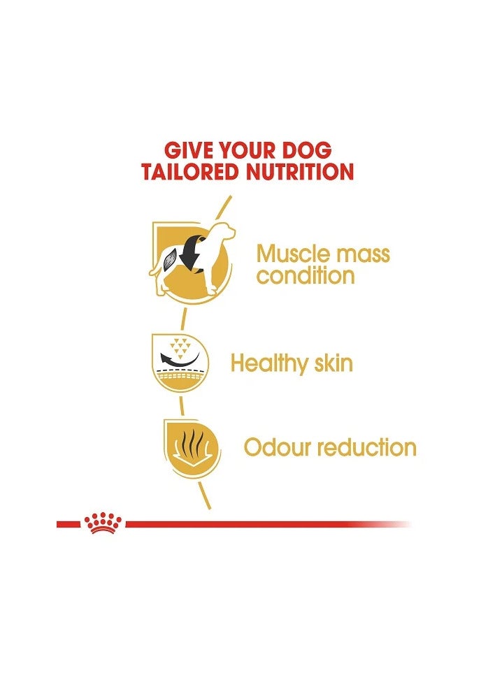 Royal Canin Dry Food for Adult French Bulldogs (12+ Months),3kg - Image 4