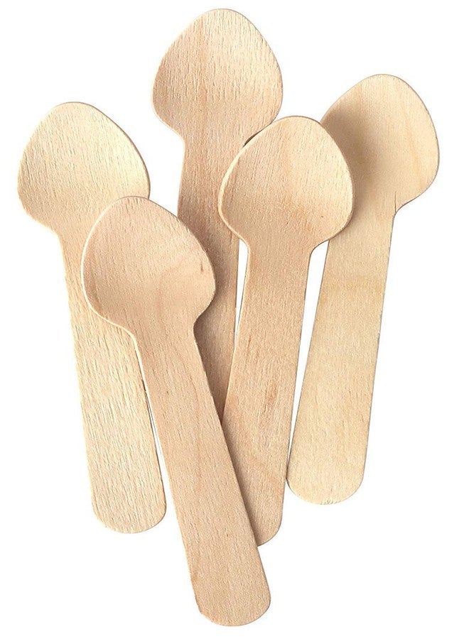 Concession Essentials 100 Pack Eco-Friendly Biodegradable Compostable Birchwood Mini Taster Spoons (4.5') - Image 3