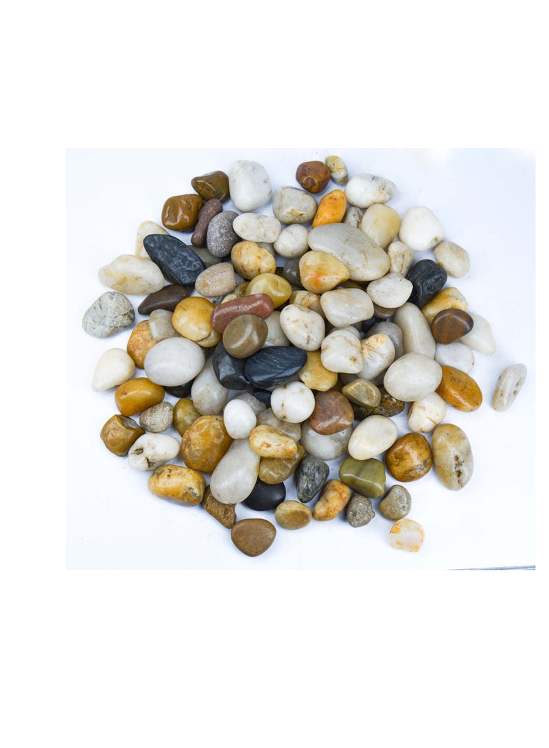 vsell24 5kg of 1-2 cm Indian Decorative Stones - Natural Smooth Pebbles for Aquariums, Vases, Terrariums, Lawns, and Garden Landscaping - Image 1