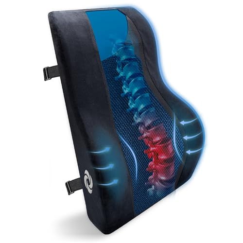 Samsonite Lumbar Support Pillow – Ergonomic Back Rest for Office Chair & Car Seat, Memory Foam Cushion for Lower Back Pain Relief, Breathable Mesh, Adjustable Strap, Black/Blue Mesh - Image 1