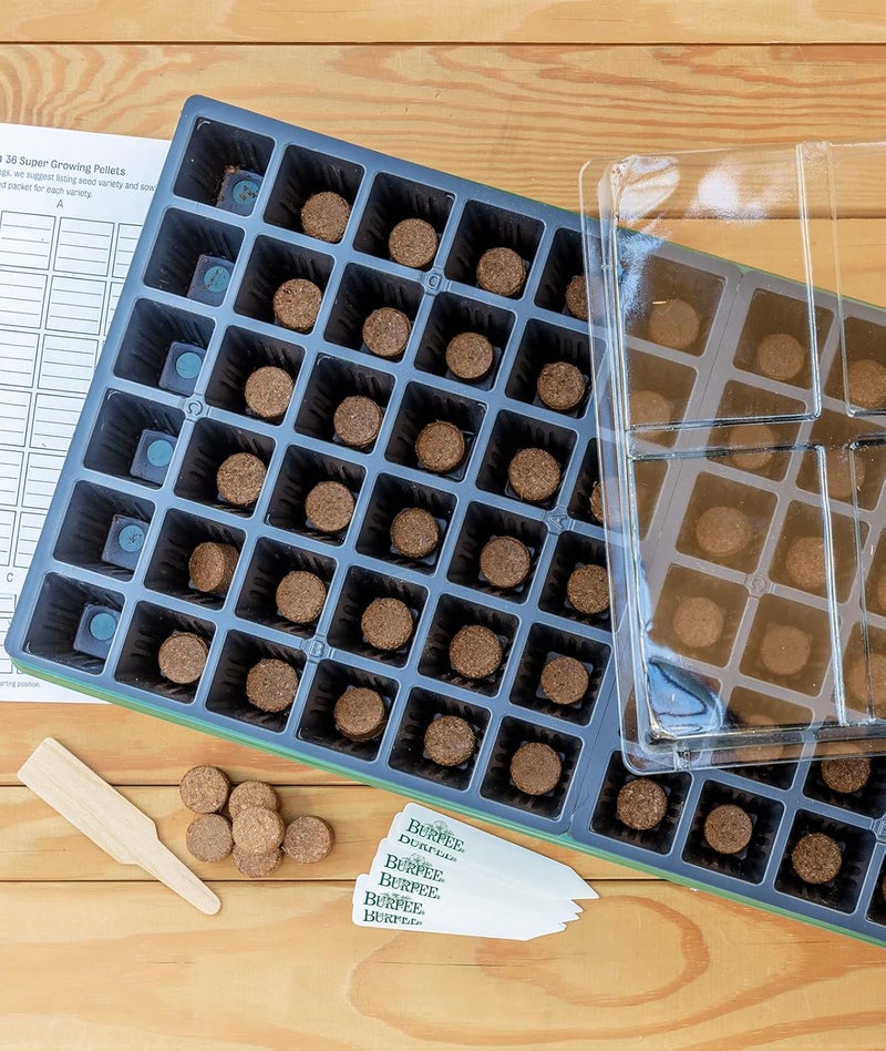 Burpee مجموعة زراعة الأعشاب والزهور والخضروات في البيوت الزجاجية الداخلية من بربى تشمل غطاء سقي وصينية بدء البذور وكرات جوز الهند 10 بوصة عرض × 20 بوصة طول × 5 بوصة ارتفاع حجم واحد 1 مجموعة 72 خلية - Image 2