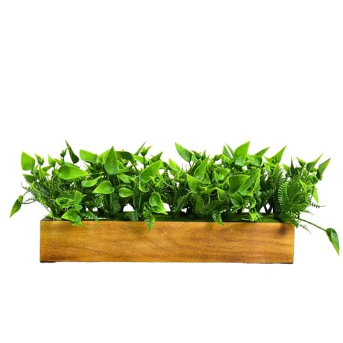 fancymart Artificial Gardenia Plant Bunch in Wood Planter, Home and Office Decor Plants for Decoration, Realistic Green Decorative for Interior, Living Room, Office Desk -8136 - Image 5