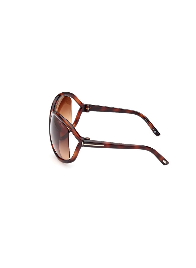 TOM FORD Women's Butterfly Shape  Sunglasses FT106852F68 Lens Size: 68 Millimeter - Dark Havana - Image 4