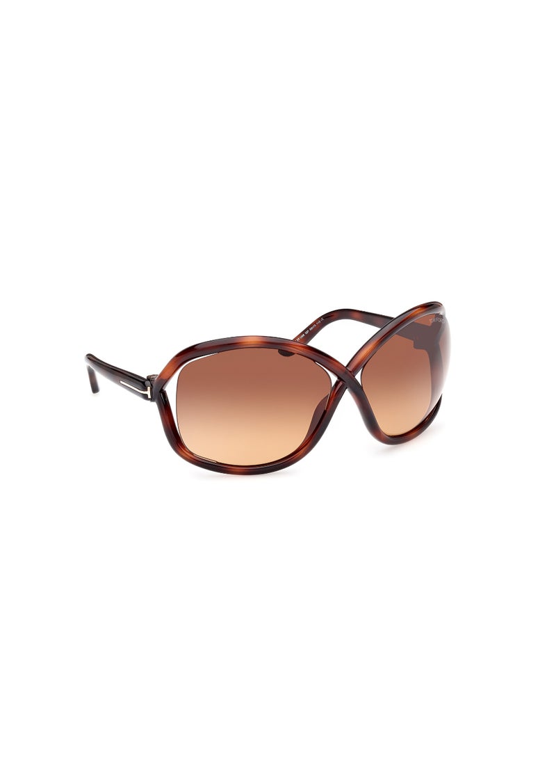 TOM FORD Women's Butterfly Shape  Sunglasses FT106852F68 Lens Size: 68 Millimeter - Dark Havana - Image 3