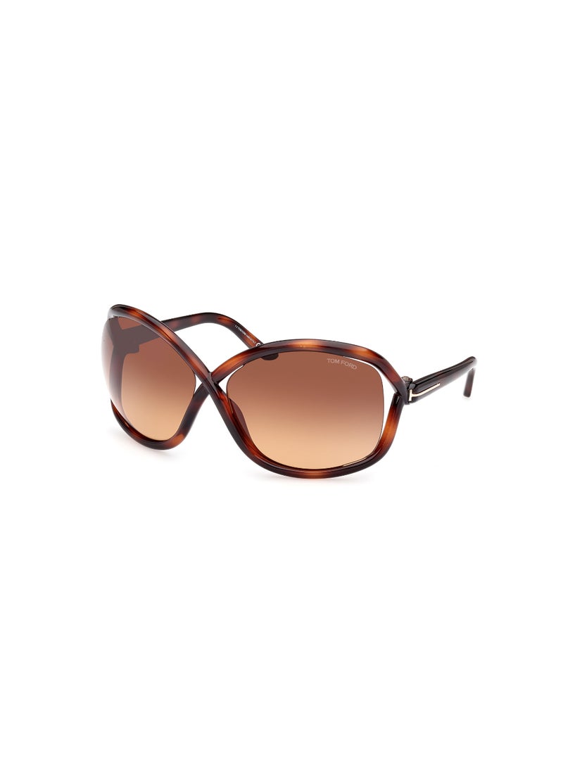 TOM FORD Women's Butterfly Shape  Sunglasses FT106852F68 Lens Size: 68 Millimeter - Dark Havana - Image 1