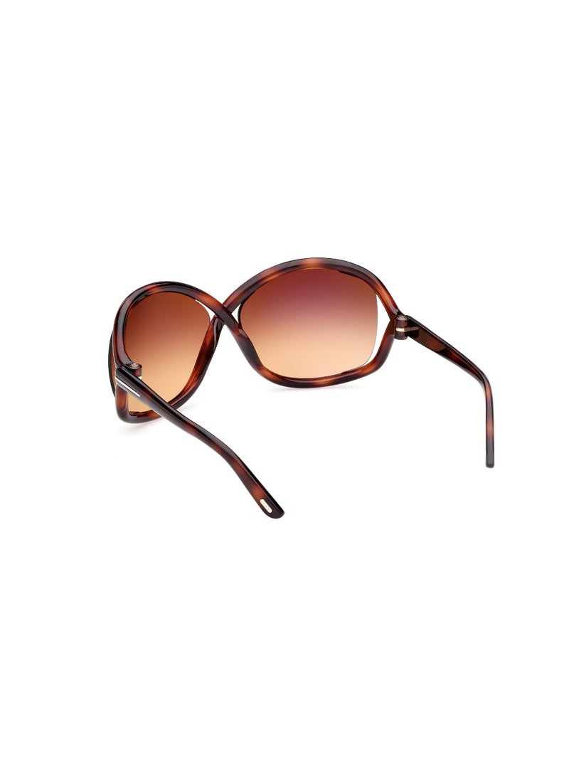 TOM FORD Women's Butterfly Shape  Sunglasses FT106852F68 Lens Size: 68 Millimeter - Dark Havana - Image 5