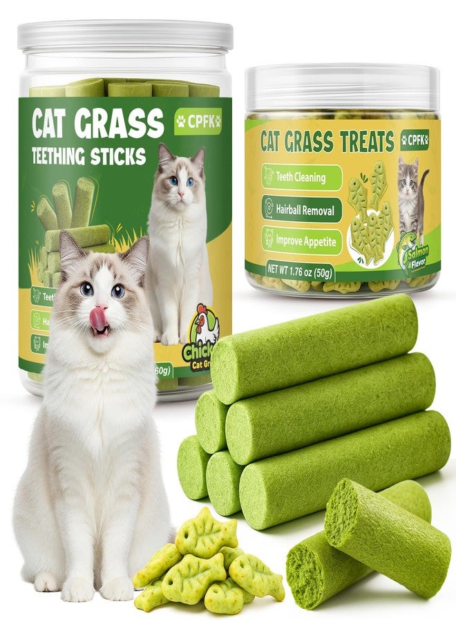CPFK Cat Grass Sticks, 60 g Cat Grass Teething Stick and 50 g Cats Treats, Natural Dental Chews for Teeth Cleaning & Hairball Relief Teething Sticks for Indoor Cats Grain-Free - Image 1