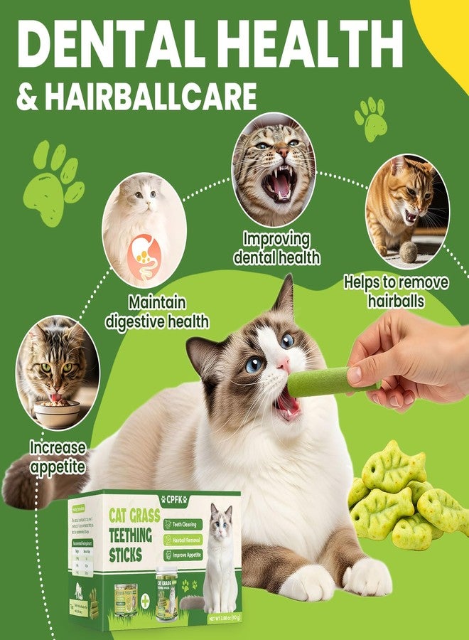 CPFK Cat Grass Sticks, 60 g Cat Grass Teething Stick and 50 g Cats Treats, Natural Dental Chews for Teeth Cleaning & Hairball Relief Teething Sticks for Indoor Cats Grain-Free - Image 3