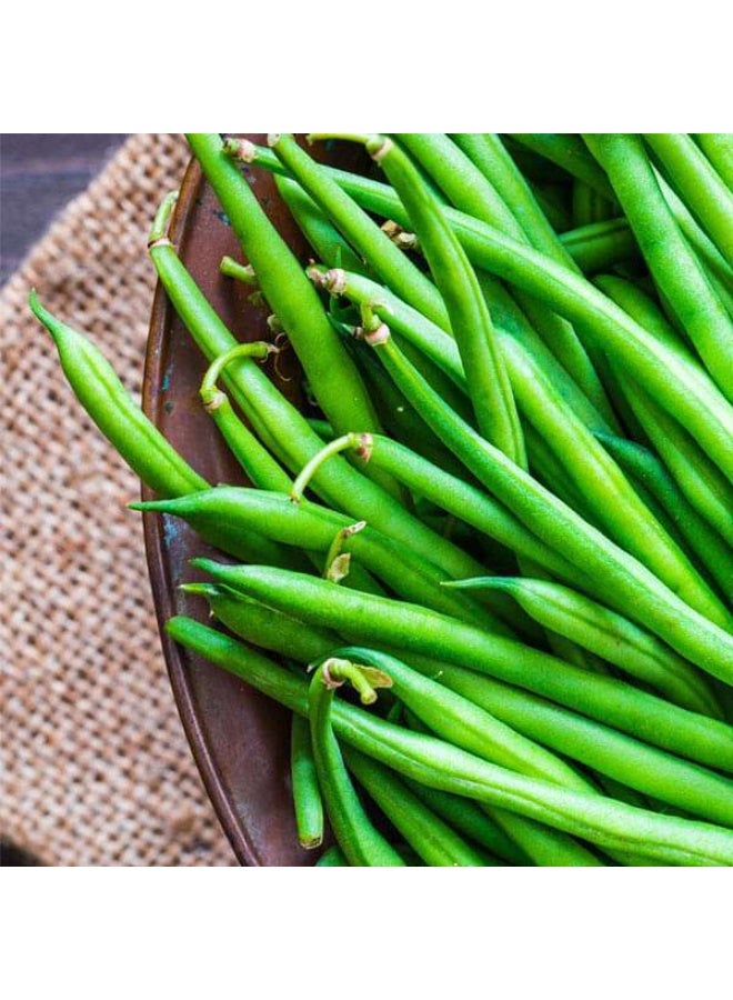 French Beans Vegetable Seeds - Image 1