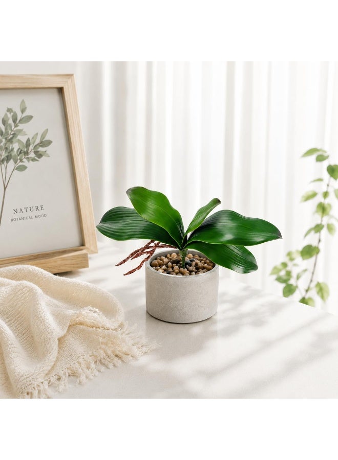 6 Pack Artificial Orchid Leaves, Faux Greenery Stems for Floral Arrangements & Home Decor - Image 3